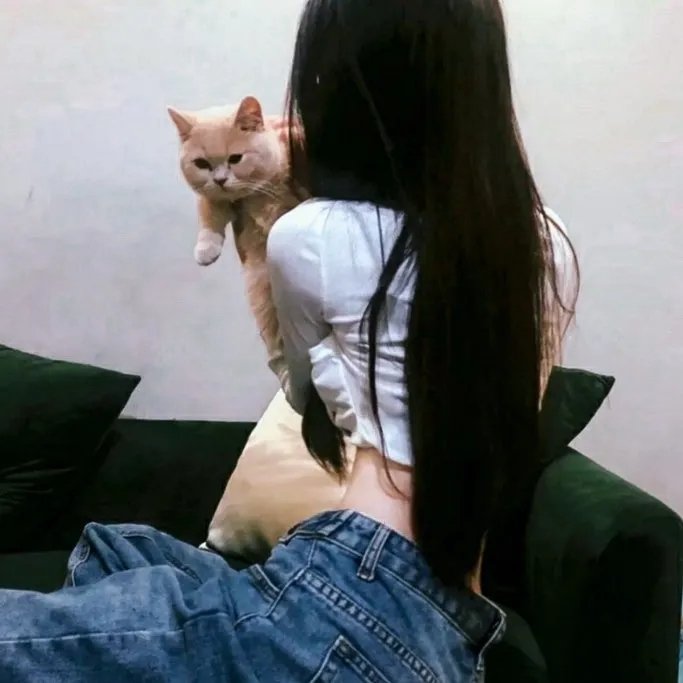 进步班 在线观看